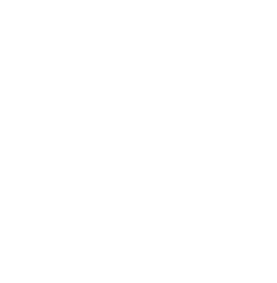 Ícone de medalha